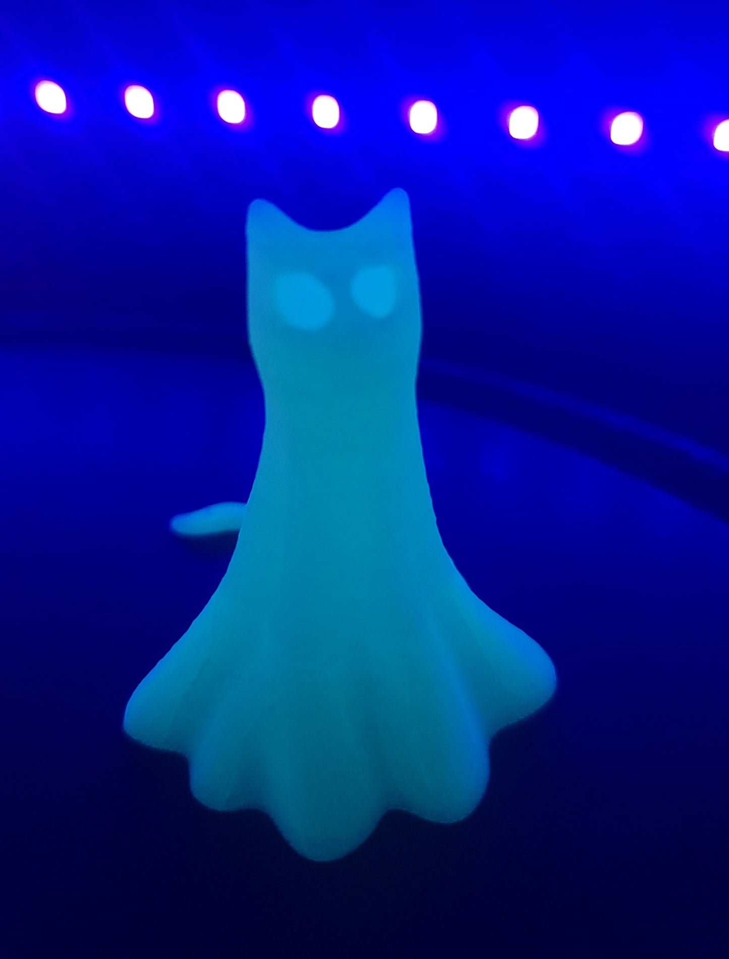 Glowing Ghost Cats