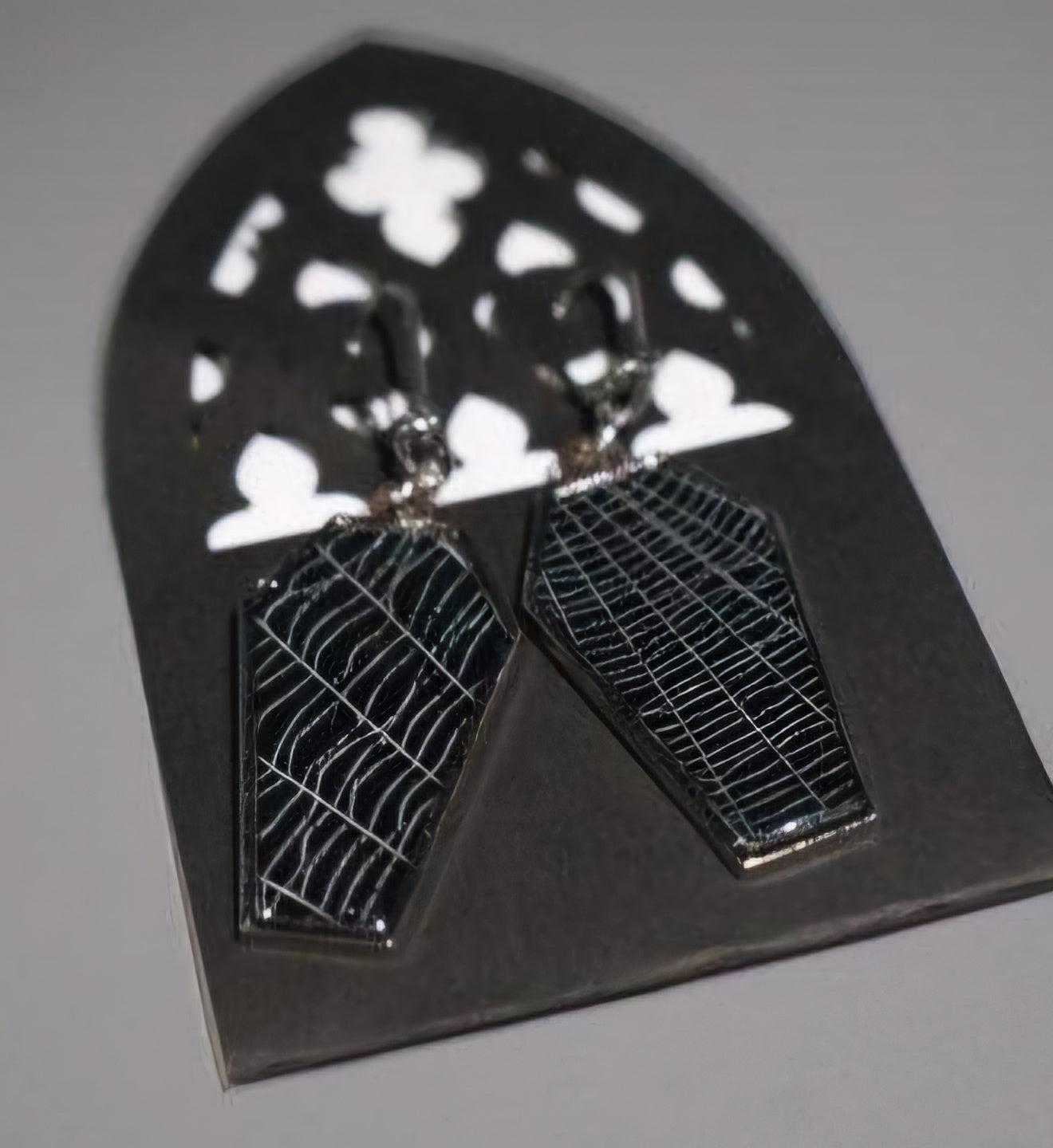 Real Spiderweb Coffin Earrings