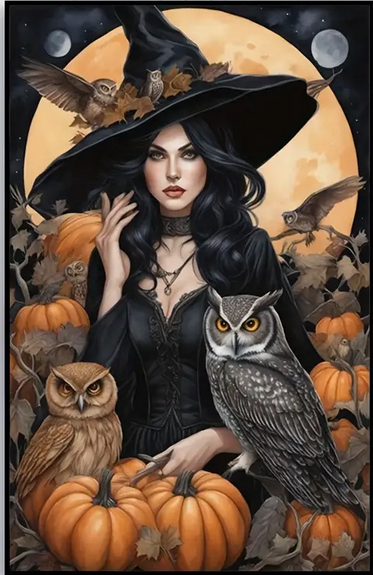 Vintage Witch and Owls Diamond Art Painting Kit